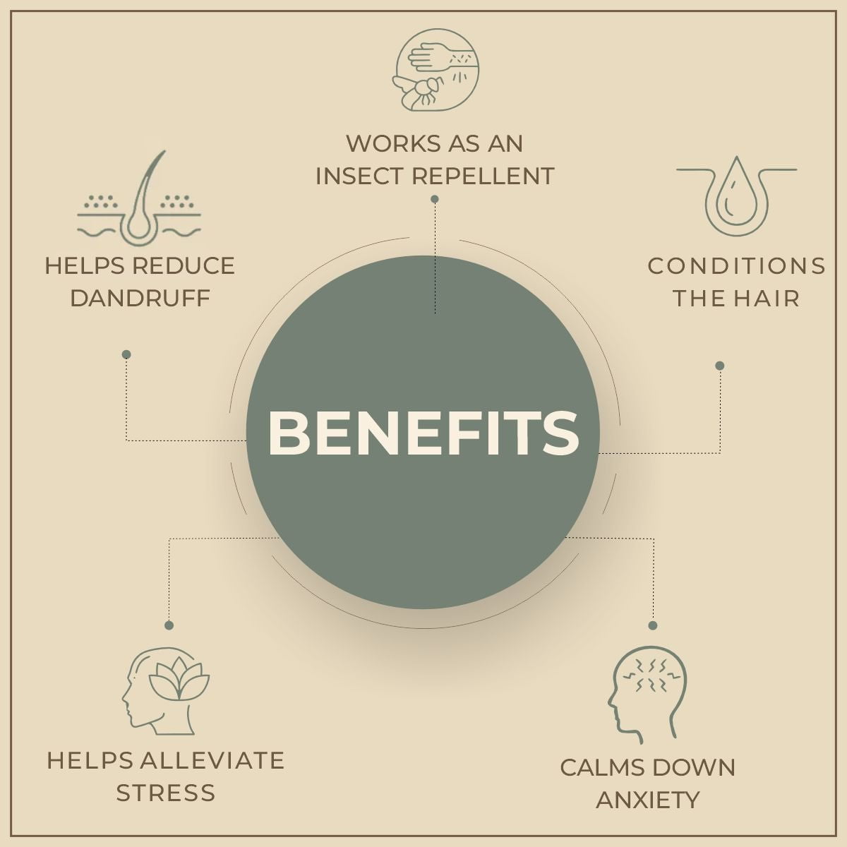 Salvia Natural Essential Oils Catnip Oil Pure Undiluted Therapeutic Grade Essential Oil Salvia Natural Essential Oils Catnip Oil Pure Undiluted Therapeutic Grade Essential Oil